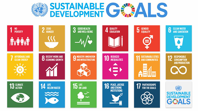 A color and icon chart with Sustainable Development Goals on it.