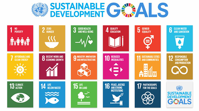 taking-action-on-sustainable-development-goals-sdgs-african-health